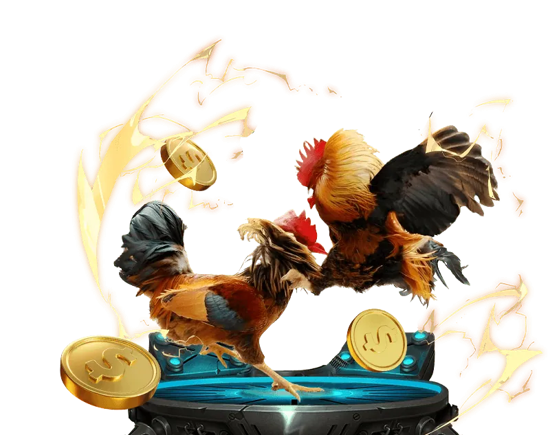 Bảo mật tối ưu